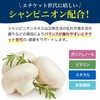 【メンズシャンピニオン】エチケット 口臭 カテキン (80粒 1袋)
