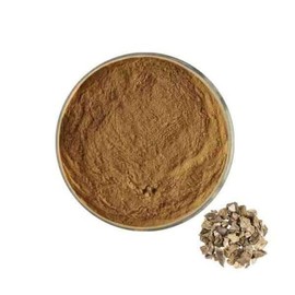 치커리뿌리추출물분말 100g Chicory Root Extract Powder 100g