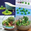 Vexquivera 50 Piece Mini Resin Frog Statues Tiny Frogs Mini