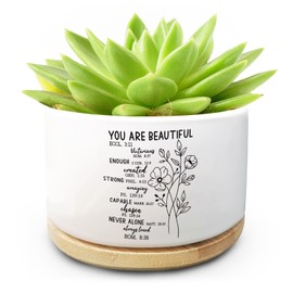 Christian Religious Plant Pot with Scripture Design Decorative Ceramic Succulent Pot Ideal for Home Garden Gifts for Christians and Faith Based Decor (Plant Not Included) (You are Beautiful)