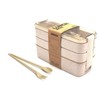 Eco-Friendly Compact Bento Lunch Box Set with Spoon, 3-in-1 Compartment