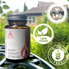 Jin Kui Shen Qi Wan 金匮肾气丸 (Rehmannia & Dogwood Fruit)