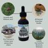 Ganesha Herbs Suramax and Pine Needle Complex Formula Tincture High