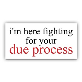 Magnet Sticker Due Process Magnetic I'm Here Fighting for FDT Anti Funny Leftist Feminist Social Justice Human Rights White Magnet for Bumper, Refrigerator, Cruise Door, Car, Truck 7.5x3.75in