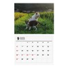 2026 Tatsumi Publishing Calendar/Nara Mitsuaki Iwatami