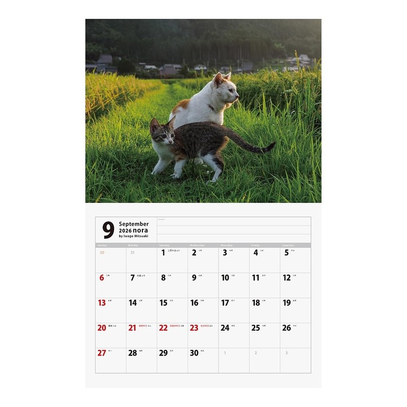 2026 Tatsumi Publishing Calendar/Nara Mitsuaki Iwatami
