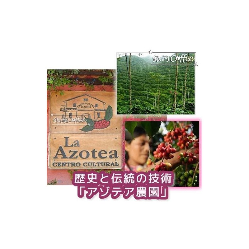Cold Brew Coffee Bag, Soft Sweetness, Guatemala Antigua "La Azotea"