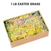 Gloreyan 1LB Easter Grass Crinkle Cut Paper Shred, Iridescent Easter