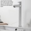 Single Cold Water Kitchen Faucet Stainless Steel Single Hole Bathroom