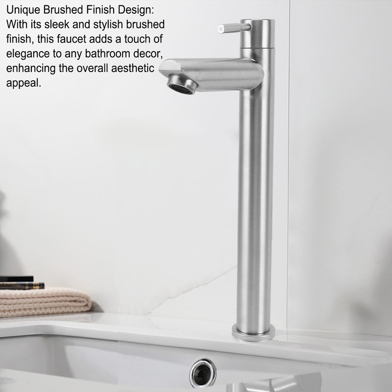 Single Cold Water Kitchen Faucet Stainless Steel Single Hole Bathroom