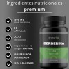 Berberina Hcl 97% | 500mg 120 Cápsulas Sabor Sin Sabor
