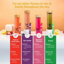 Sol-ti Organic Electrolyte Skin + Hydration Drink Mix, Superfood Hydration Sticks, SuperStix, Non-GMO, Vegan, Blueberry Lemon, 14 Single-Serving Sticks