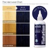 Kiss Tintation Semi-Permanent Hair Color 5 Ounce, T740 Rose Gold