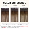 RUNATURE Invisible Wire Hair Extensions Real Human Hair Balayage Fish