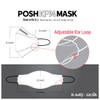 Be Healthy [Pack of 10] Posh KF94 Mask - Chicago