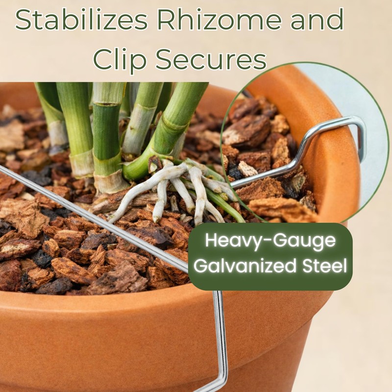 Orchid Nerd Galvanized Rhizome Clip for Clay Pot 5 Inch