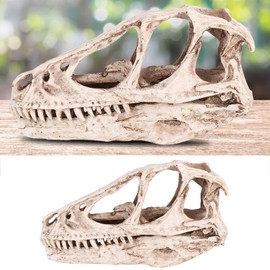 BTOSEP Resin Skull Model Replica, Dinosaur Tooth Skull Fossil, Resin Dinosaur Skull Model Simulated Animal Skeleton Home Office Decor Craft Teaching Prop, Photography Props