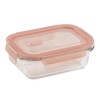 Pearl Metal Dish Plus HB-5959 Storage Container with Heat Resistant
