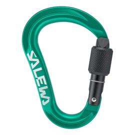 Salewa Ortles HMS S Carabiner Green