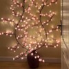 Cherry Blossom Tree Branch Lights for Wall,Cherry Enchanted Willow Vine