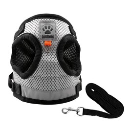 Jagowa Cat Dog Harness and Lead Set for Walking, Double Mesh Cloth Adjustable Soft Harness and Lead for Small Medium Pets (S, M, L)