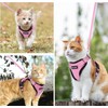 Dooradar Cat Harness with Lead, Escape Proof, Cat Lead with
