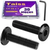 Taiss 30pcs 1/4-20 x 1" Flat Head Socket Head Screw