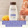 AVEENO Active Naturals Body Wash, Stress Relief 12 oz (Pack