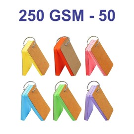 300 pcs Flash Cards Revision Index Cards Mini Notepads Blank Colourful Study Cards with Metal Binder Ring (6 Pack / 300 Cards)