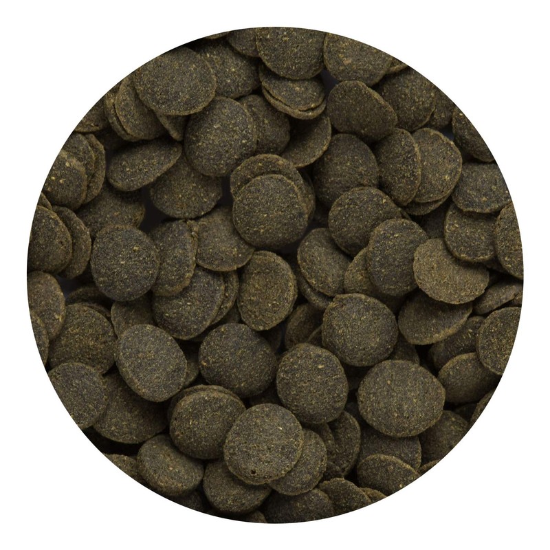 Hikari Mini Algae Wafers, 0.77 oz