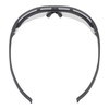 Sankyo Corporation DT-SG-1661C Super Anti-Fog Protective Glasses