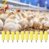 10Pcs Detachable Automatic Chicken Drinker Water Nipple Poultry Supplies for
