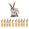 10Pcs Automatic Fox Rabbit Drinker Nipple Waterer Drinking Water Tool