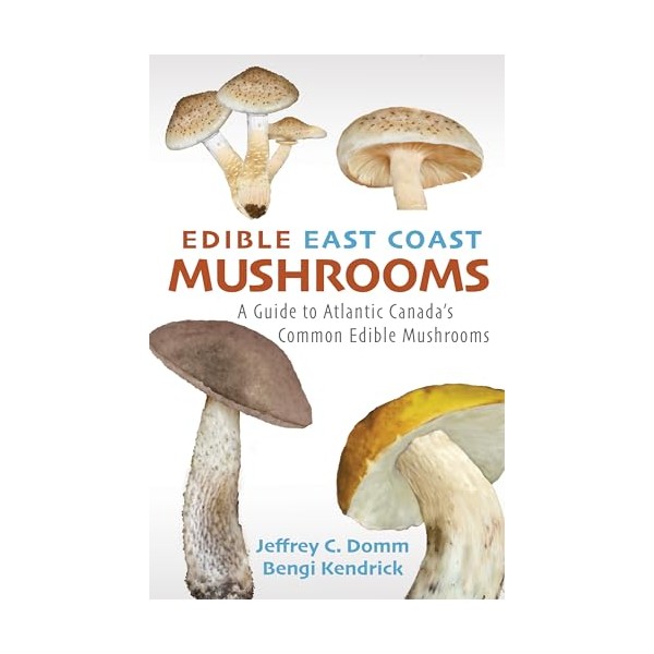Edible East Coast Mushrooms: A Guide to Atlantic Canada's Common