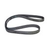 CONTITECH 6PK1448 V-ribbed belt