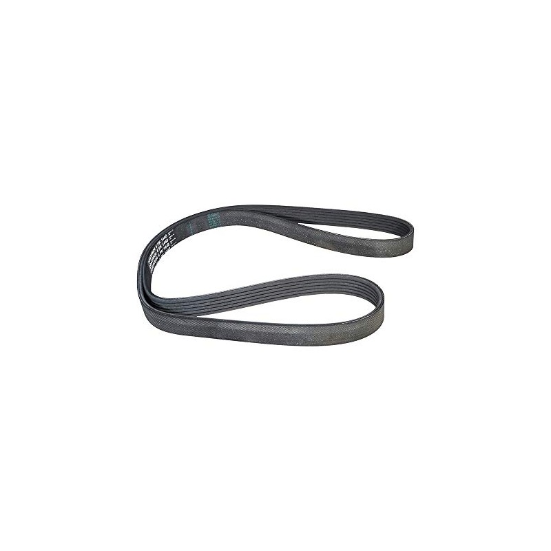 CONTITECH 6PK1448 V-ribbed belt