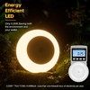 fesnne Night Light, Night Lights Plug into Wall, Dusk to