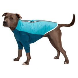 Furhaven Water-Repellent Medium Dog Coat, Washable w/ Leash Access & Stretch Fabric - Pro-Fit Active Jacket - Aquamarine, Medium