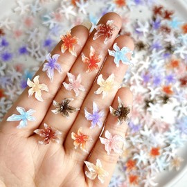ITPOYOL 100 PCS Flower Nail Art Charms 3D Hawaii Flower Nail Charms and Gems Hibiscus Colorful Blush Spring Summer Floral Rhinestones Jewelry Accessories for Women DIY Manicure Decorations Supplies