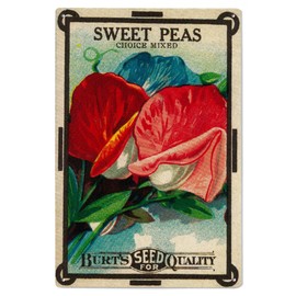 Lantern Press 6x9 Inch Wood Sign, Ready to Hang Wall Decor, Sweet Peas Seed Packet