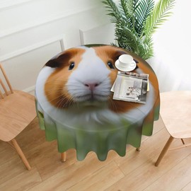 WZYWHJ Guinea Pigs Printing Round Decorative Tablecloth 60 in can be Washed and reused for Round Table Dining Table Coffee Table