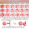 Sanai Hanko Titanium Stamp 1 Piece Set, Real Stamp, Bank