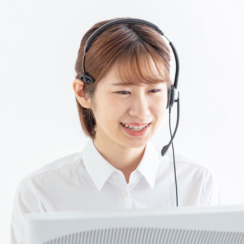 Sanwa Supply MM-HSU19BK USB Headset