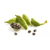 EcoEcho Organic Green Cardamom Pods Whole - 454g / 1