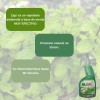 Pegaton Repelente Para Moscas Sin Mata Moscas No Tóxico Natural