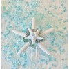 Starfish Christmas Tree Topper with Blue Green Limpet Shells -