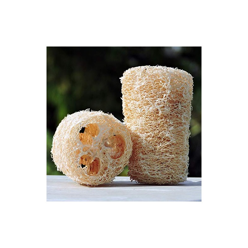 HealthGoodsIn - Esponja de baño natural de lufa orgánica, juego