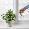 Ikea Plant Mister, Clear Glass 25Cl