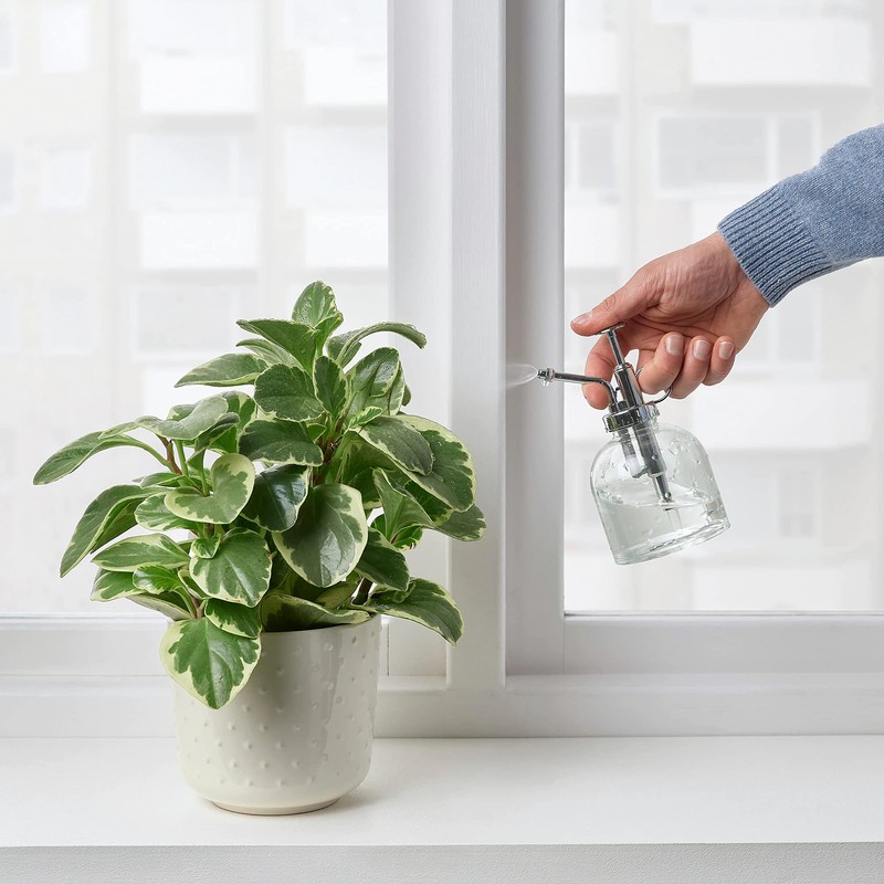 Ikea Plant Mister, Clear Glass 25Cl