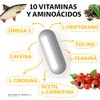 Nootropico Day Complex Vitaminas Minerales Aminoácidos Contiene Omega Triptófano Colina